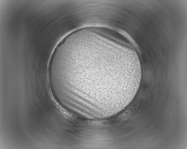 X0000064741004200603031702