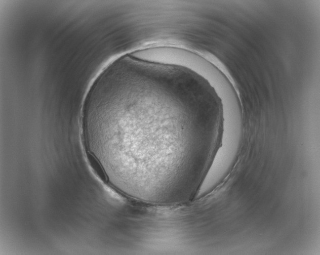 X0000064741005200603031702