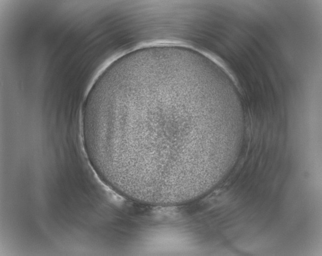 X0000064741006200603031702