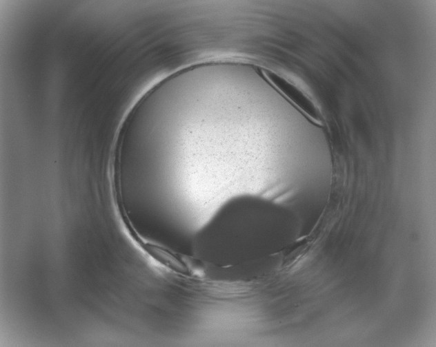 X0000064741007200603031702