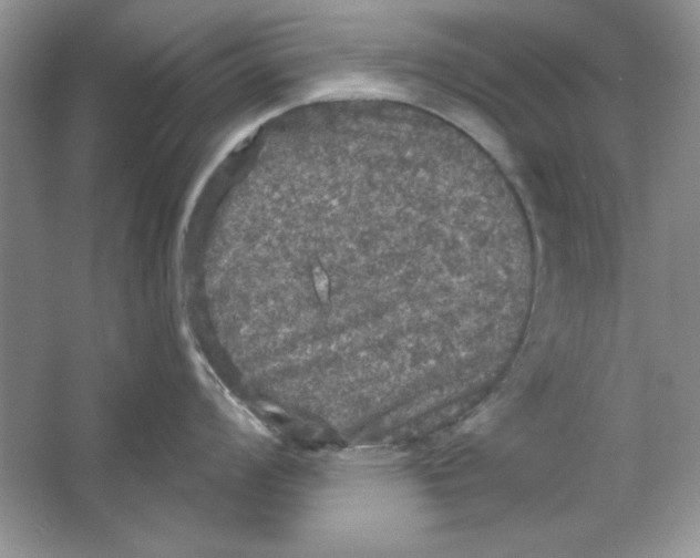 X0000064741008200603031702