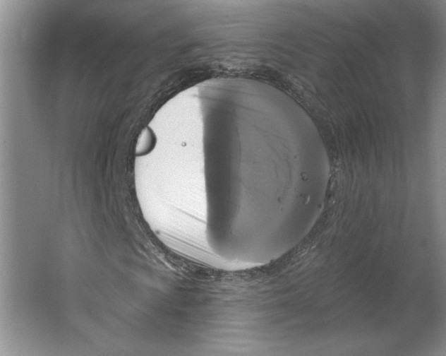 X0000064741009200603031702