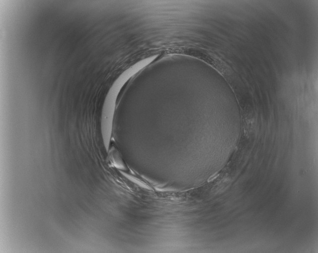 X0000064741010200603031702