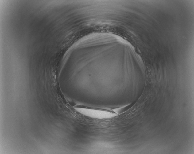 X0000064741013200603031702