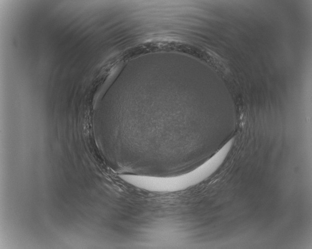 X0000064741014200603031702