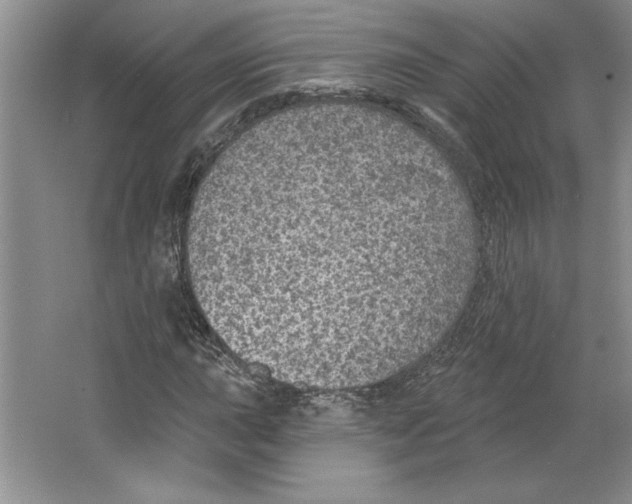 X0000064741015200603031702