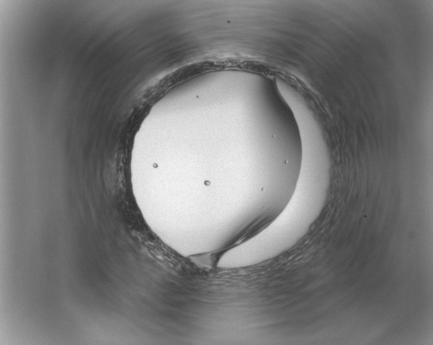 X0000064741016200603031702