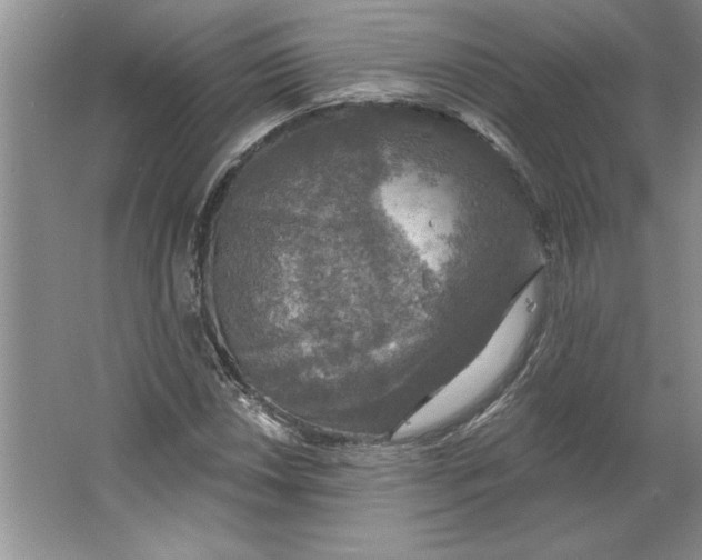 X0000064741018200603031702