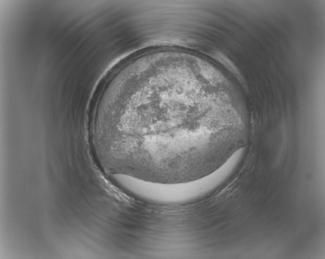 X0000064741020200603031702