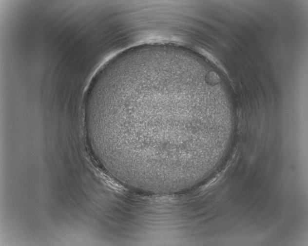 X0000064741021200603031702