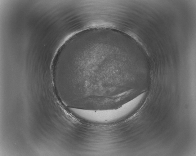 X0000064741022200603031702