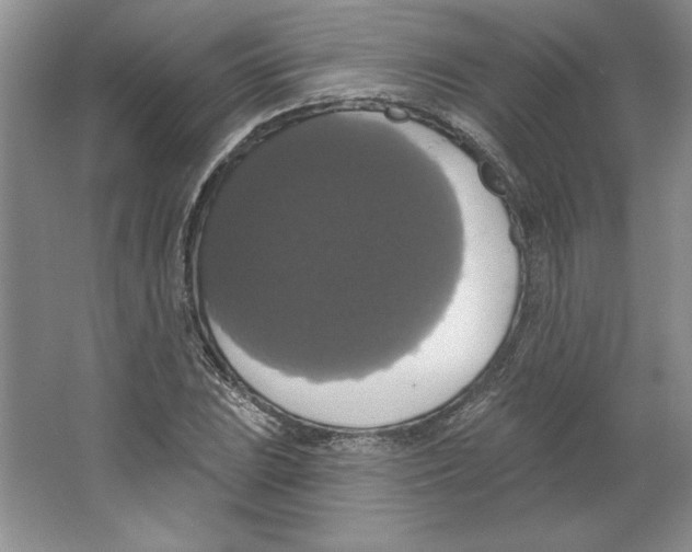 X0000064741023200603031702