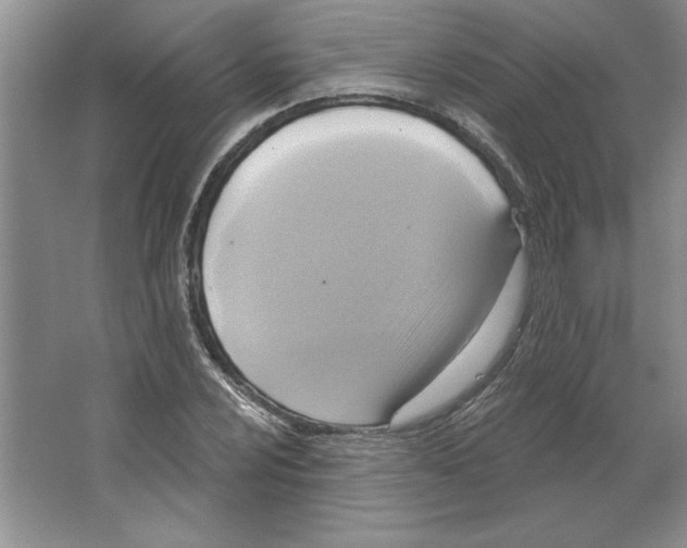 X0000064741024200603031702