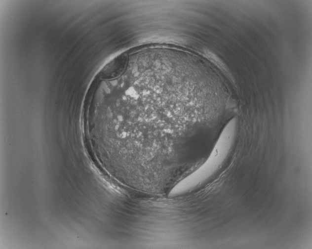 X0000064741028200603031702