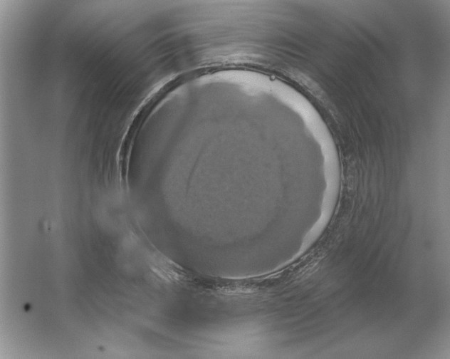 X0000064741031200603031702