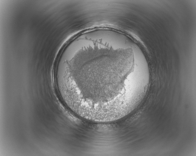 X0000064741032200603031702