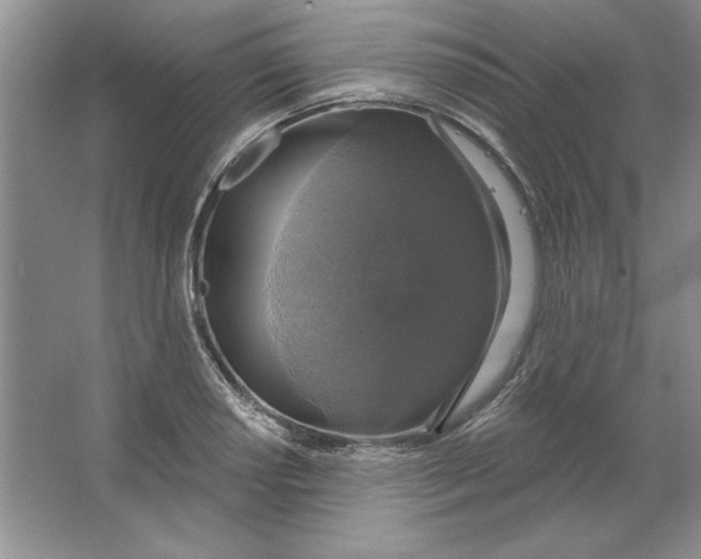 X0000064741034200603031702