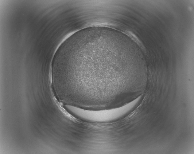 X0000064741036200603031702