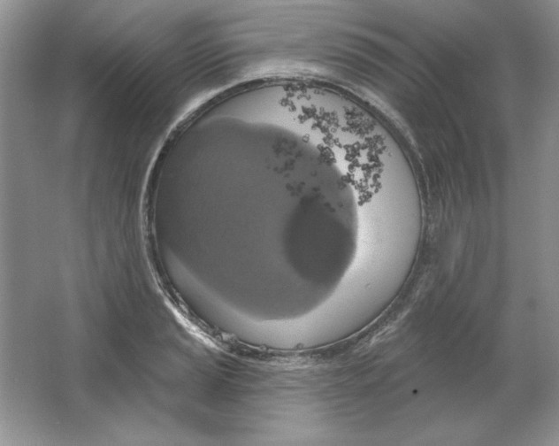 X0000064741037200603031702