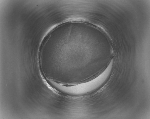 X0000064741038200603031702