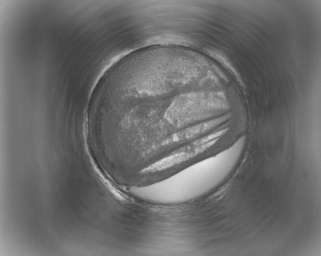 X0000064741040200603031702