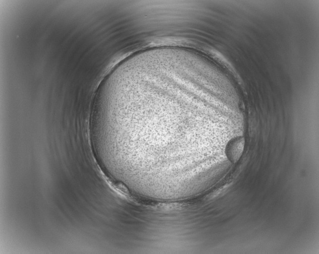 X0000064741041200603031702