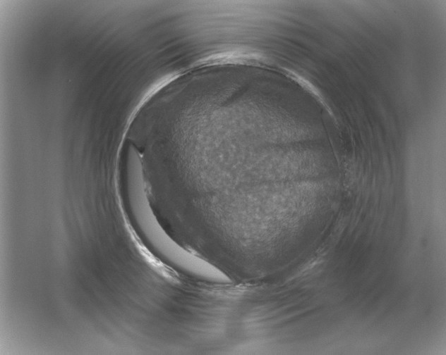 X0000064741042200603031702