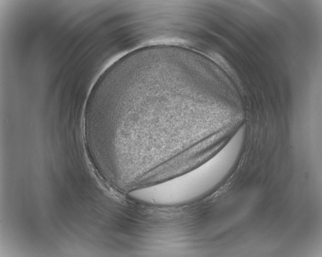 X0000064741044200603031702