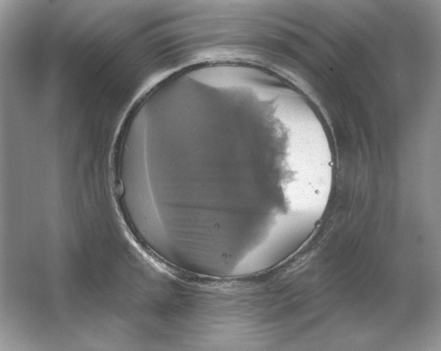 X0000064741045200603031702