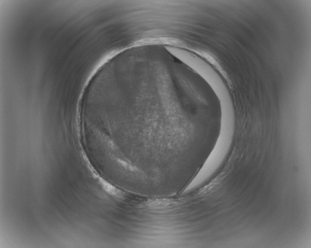 X0000064741046200603031702