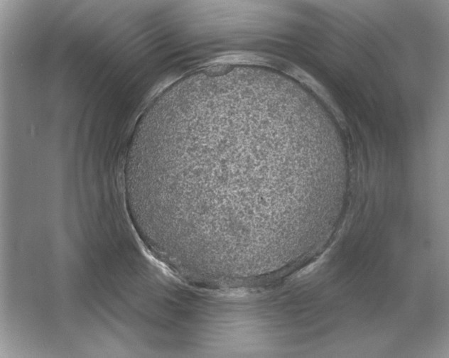 X0000064741049200603031702