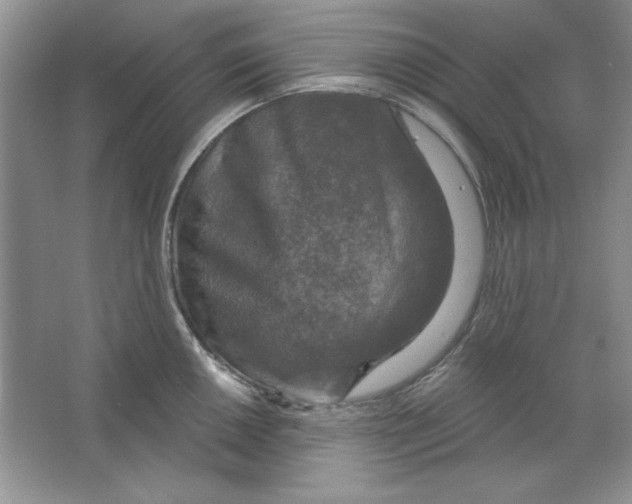 X0000064741050200603031702