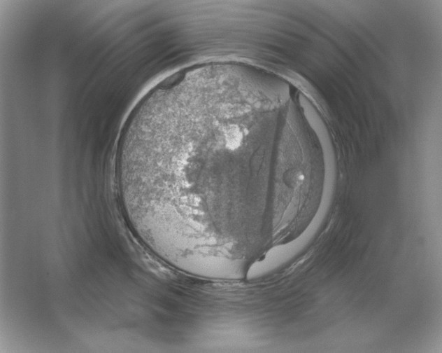 X0000064741052200603031702