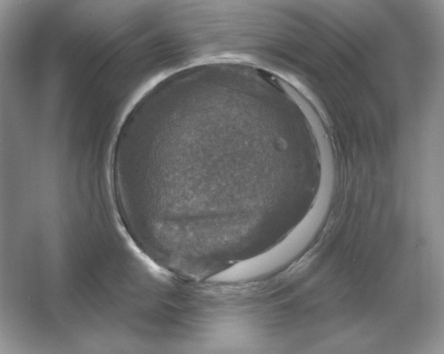 X0000064741054200603031702