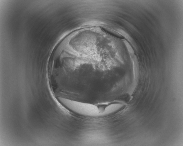 X0000064741055200603031702