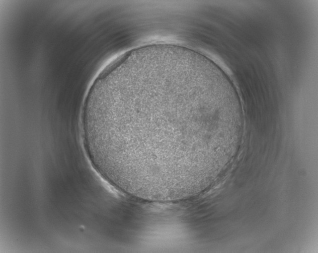 X0000064741056200603031702