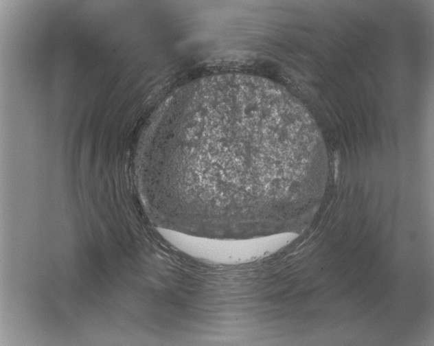 X0000064741059200603031702