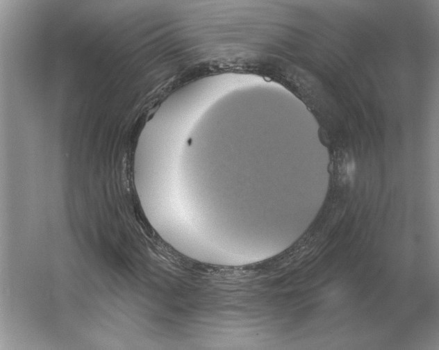 X0000064741060200603031702