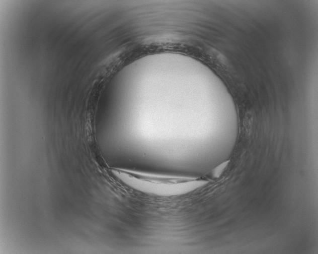 X0000064741062200603031701