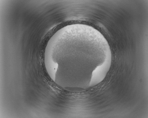 X0000064741064200603031701