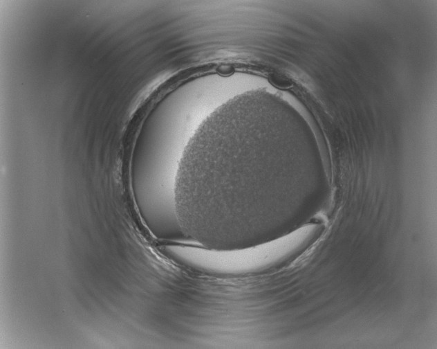 X0000064741066200603031701