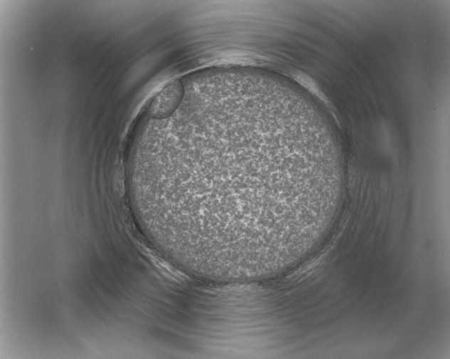 X0000064741067200603031701