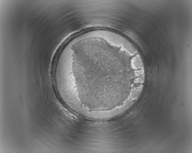 X0000064741068200603031701