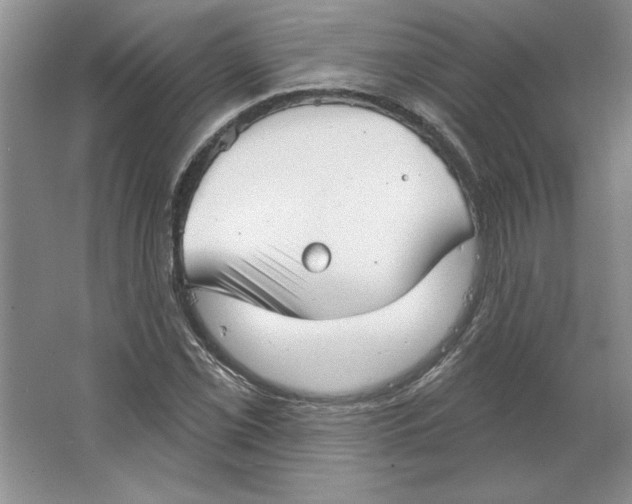 X0000064741069200603031701