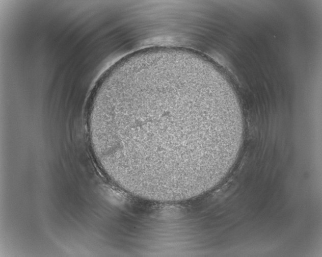 X0000064741070200603031701