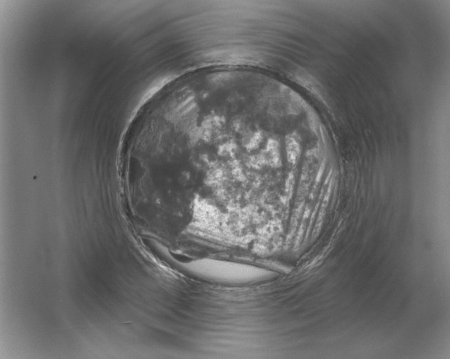 X0000064741071200603031701