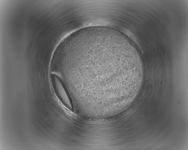 X0000064741072200603031701