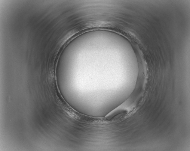 X0000064741073200603031701