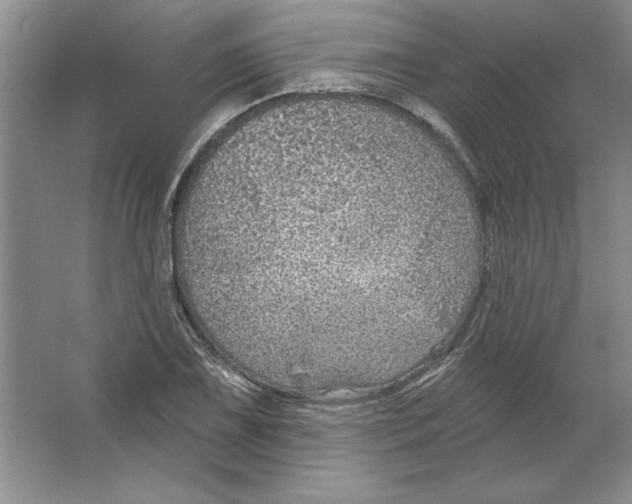 X0000064741075200603031701