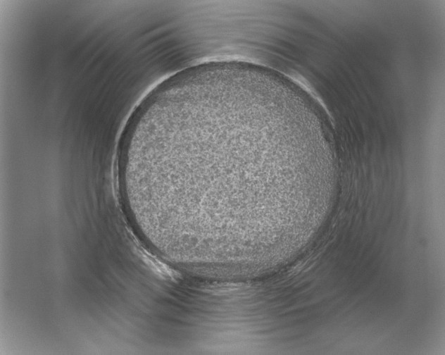 X0000064741076200603031701